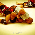 Seism Academy Free Fight UFC Entrainement