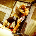Seism Academy Free Fight UFC Entrainement