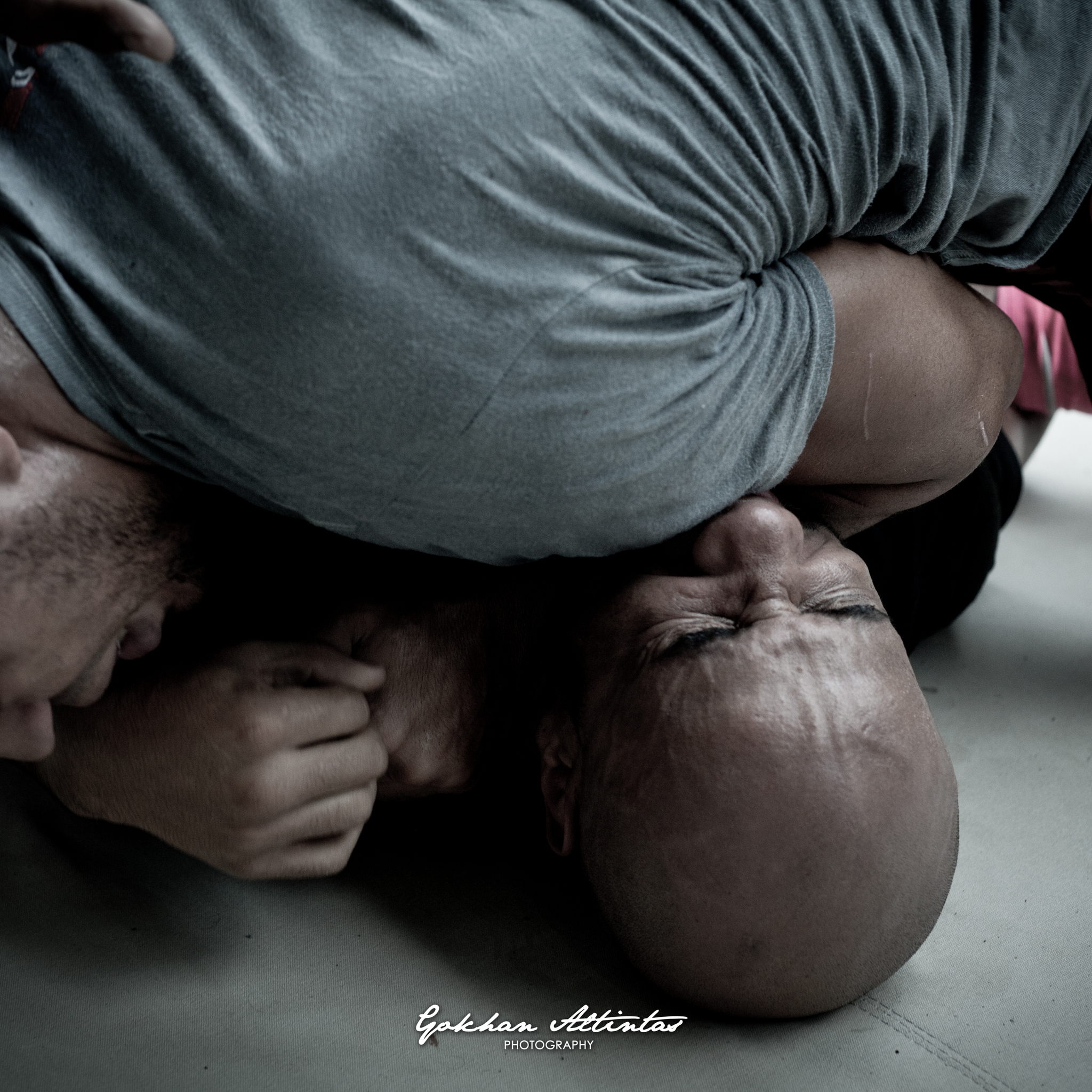 Seism Academy Free Fight UFC Entrainement