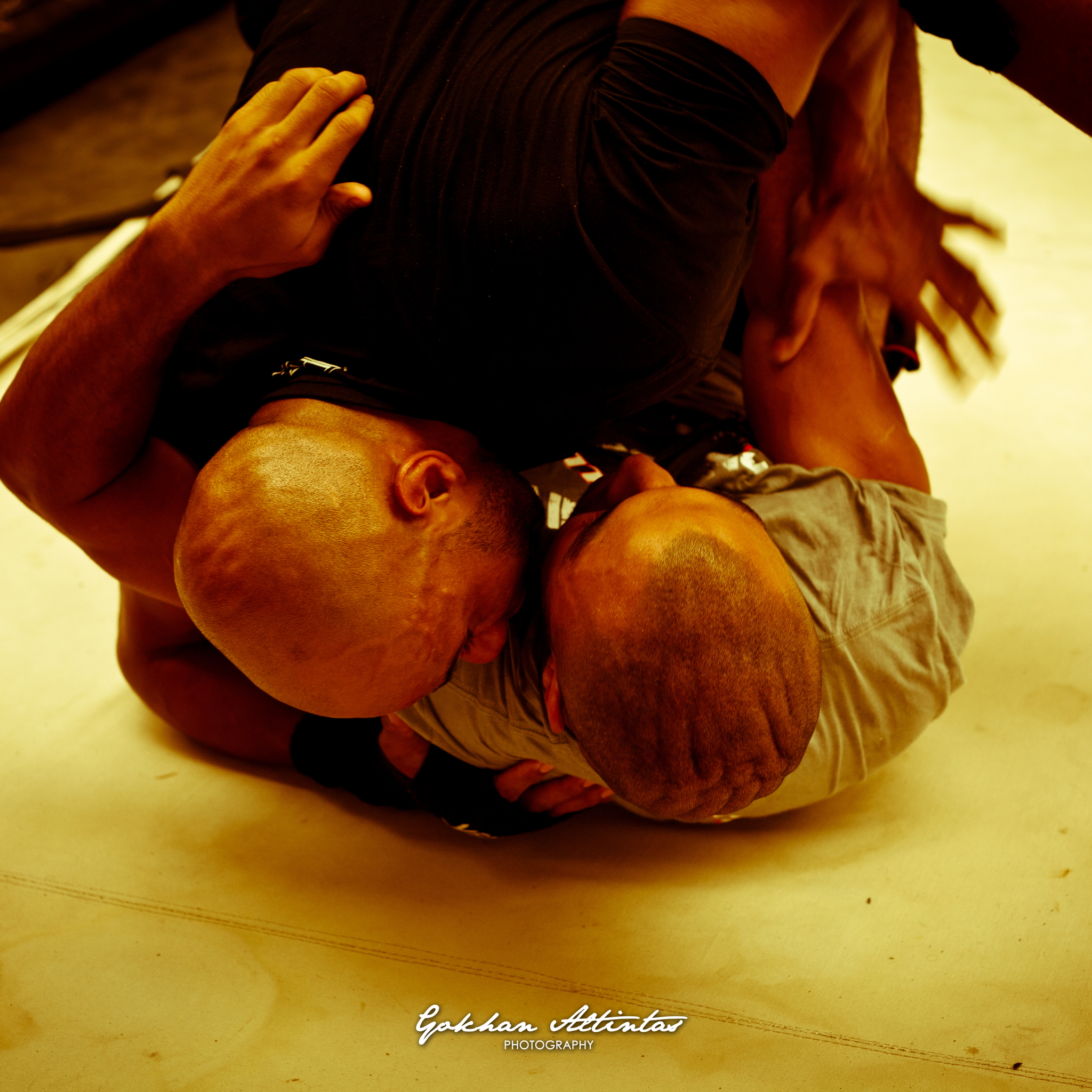 Seism Academy Free Fight UFC Entrainement